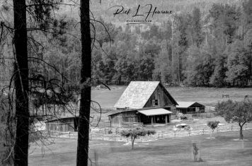 Bull River Ranch B&W